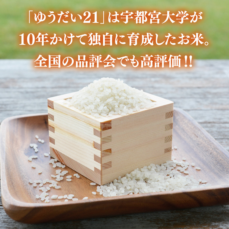 ＼先行予約・10月より順次発送／山﨑観光農園のお米　ゆうだい21　白米5kg｜栃木県 益子町 ふるさと納税 お米 ゆうだい21 白米 精米 5kg 高評価（AU006）