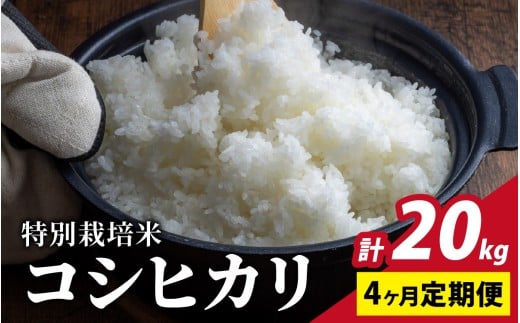 【令和7年産 新米】【4ヶ月定期便】福井県認証の特別栽培米 コシヒカリ 5kg×4回【10月より順次発送】