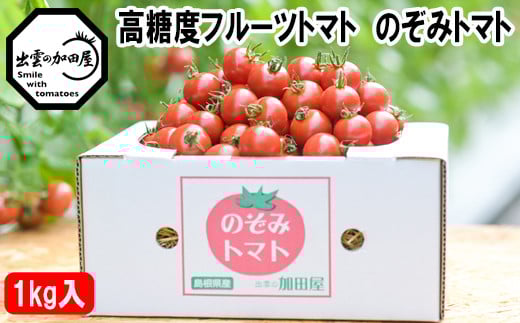 高糖度フルーツトマト【出雲の希トマト】糖度8以上【1_3-044】