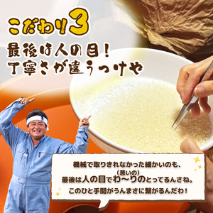 コシヒカリ 5kg 令和7年産 コシヒカリ 11月 特別栽培米 新潟 プレミアム