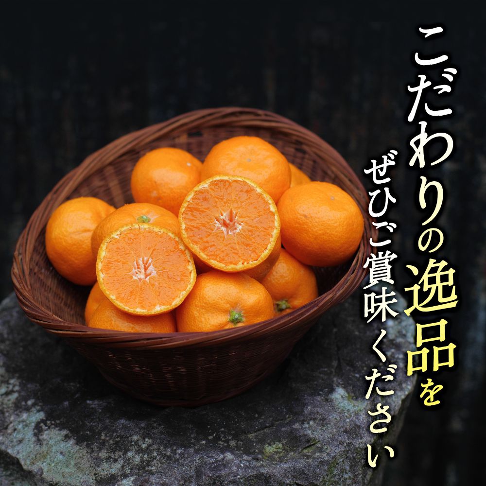 頑固オヤジの 有田 みかん 小玉 5kg / 温州みかん 有田みかん 甘い 小粒 ちっちゃい 家庭用 訳あり 和歌山 柑橘 ※11月中旬～翌年1月下旬頃に順次発送予定 【krf004-s-5B】