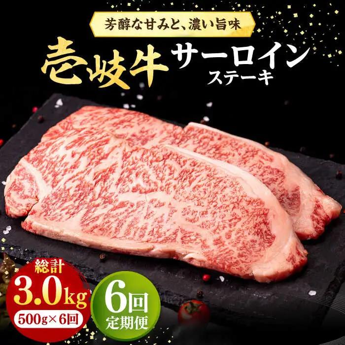 【全6回定期便】 壱岐牛 サーロインステーキ 500g（250g×2枚）《壱岐市》【株式会社イチヤマ】 肉 牛肉 サーロイン ステーキ 焼肉 BBQ [JFE030] 186000 186000円