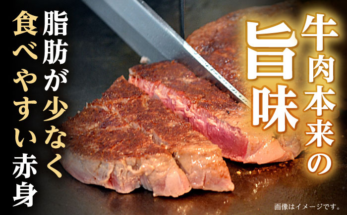 【12回定期便】程よい霜降り！ モモ ステーキ 600g (150g×4枚) / モモステーキ 長崎和牛 A5 / 諫早市 / 野中精肉店 [AHCW069]