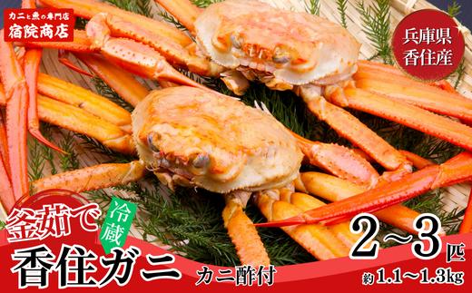 【兵庫県香住産 釜茹で香住ガニ（紅ズワイガニ）2～3匹】9月中旬以降順次発送予定 冷蔵 香住港で水揚げ 新鮮な香住ガニ 絶妙な塩加減で茹で上げ ミネラル豊富な海洋深層水域で育ったカニ 甘みがあってとても美味しい 関西では「香住港」だけしか水揚げを許可されていない特産品 足が1～2本折れたカニが混ざる場合がございます かに 日本海 香美町 宿院商店 22500円 33-21　