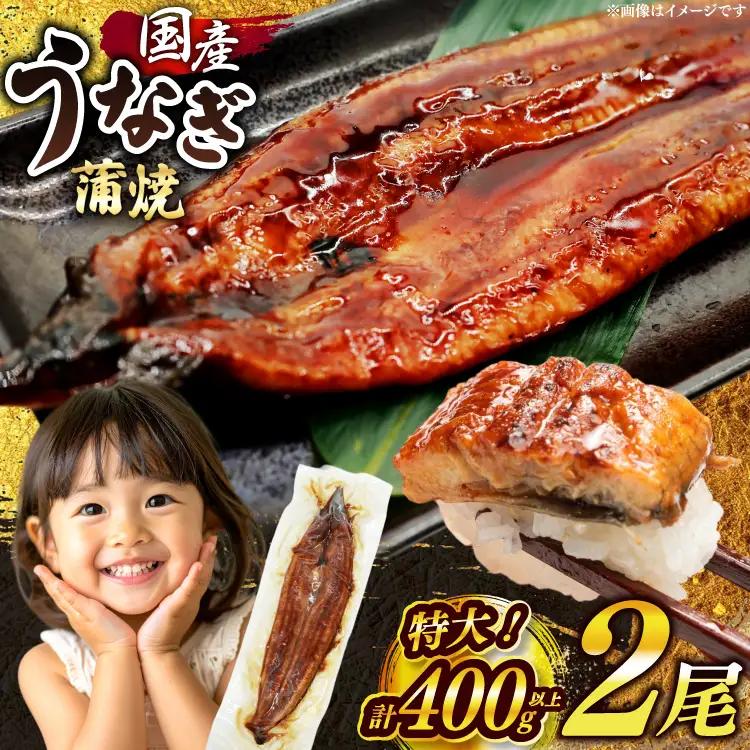 うなぎ 蒲焼 国産 特大 2尾 うなぎ