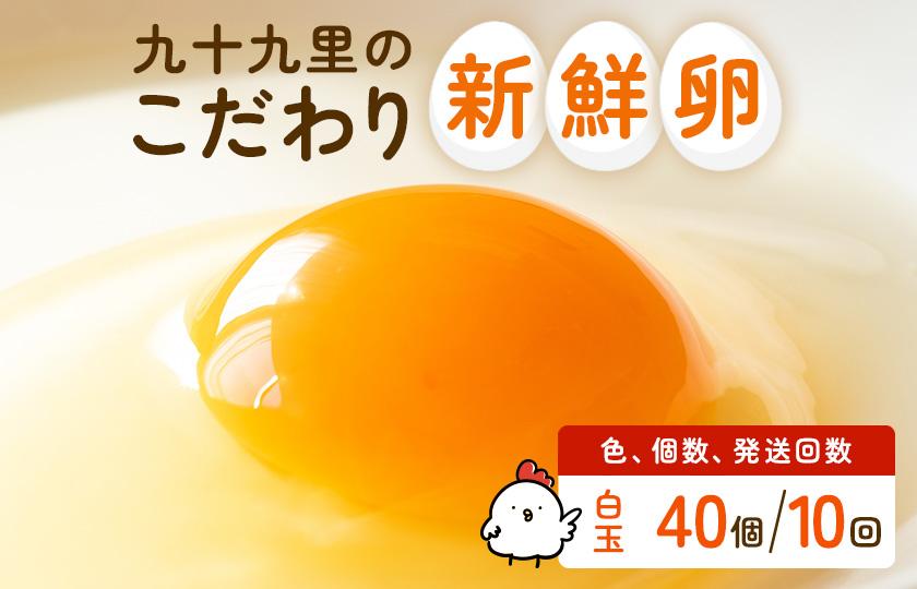 【定期便10回】九十九里ファームこだわりたまご贈答用 40個 ～あおい海・みどりの里～《白玉》 たまご 卵 玉子 タマゴ 白玉 卵かけご飯 新鮮 旨み 甘み 贈答用 贈答 ギフト 贈り物 千葉県 匝瑳