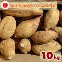 【ふるさと納税】種子島 安納いも 「 こがね 」 10kg こむぎ屋工房