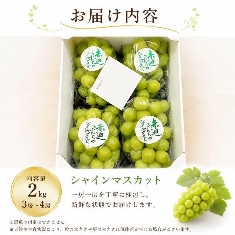 ぶどう シャインマスカット 2kg  3房～4房 1房 約500g～600g 葡萄 フルーツ 岡山 高梁市産 赤迫農園 2026年 先行予約