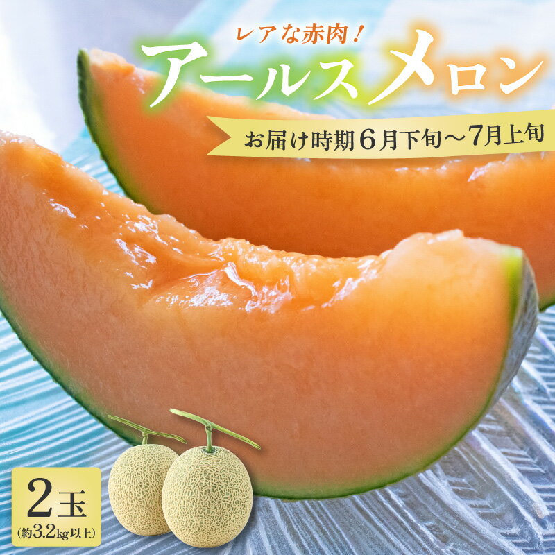【ふるさと納税】【先行予約】アールスメロン 2玉（約3.2kg以上）赤肉品種 高級メロン！ ／ マスクメロン 大玉 果物 フルーツ 夏 ギフト 農家直送 ※2025年6月下旬以降順次発送