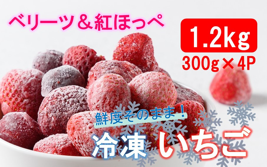 
鮮度そのまま! 冷凍完熟いちご / ベリーツ&紅ほっぺ 1.2kg (300g×4P)_2418R
