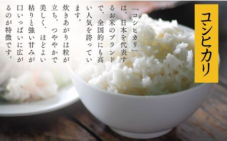 令和7年産《2025年10月下旬以降順次発送》【定期便（5kg×1袋×3回）】「コシヒカリ」合計15kg【道の駅からむし織の里しょうわ】