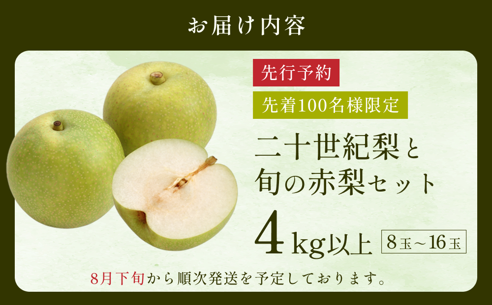 先行予約 二十世紀梨と旬の赤梨セット 4kg｜鳥取 果物 フルーツ なし 梨 品種はおまかせ【41039】