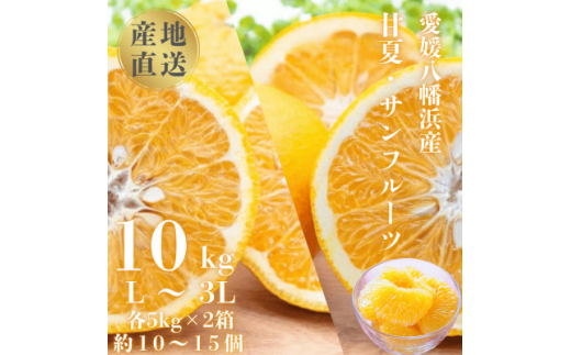国安さんちの甘夏&サンフルーツ各5kg＜D20-10＞_ みかん ミカン 柑橘 くだもの 果物 フルーツ 甘夏 あまなつ サンフルーツ ジューシー 甘い 常温 デザート 産地直送 産直 愛媛 人気 食べ比べ セット 【1094576】