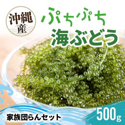 ふるさと納税 糸満市 ぷちぷち海ぶどう 家族団らんセット  500g 沖縄県 糸満市