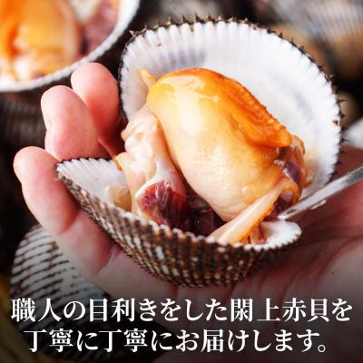 ふるさと納税 名取市 【 漁亭 浜や 】閖上 赤貝 の 刺身 40g 高級食材|21_hmy-130101 |  | 01
