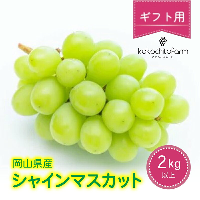 【ふるさと納税】 【2026年先行予約】 ここちとふぁーむ 【ギフト】 岡山県産 シャインマスカット 3～5房 2kg以上【9月中旬〜11月中旬頃順次発送予定】/ 果物 くだもの フルーツ 葡萄 ぶどう シャインマスカット 岡山県産