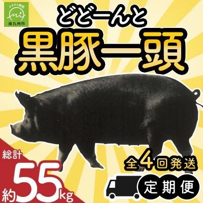 ふるさと納税 南九州市 【発送月固定定期便】どどーんと黒豚1頭(※総計55kg)全4回