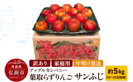 【26年1月発送】りんご 訳あり家庭用【年明け発送】葉取らず サンふじ 約5kg（14～20玉程度）青森県特別栽培農産物認証農園