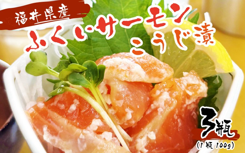 
                  福井県産 ふくいサーモンこうじ漬 300g（100g × 3個セット）[A-6244]
                