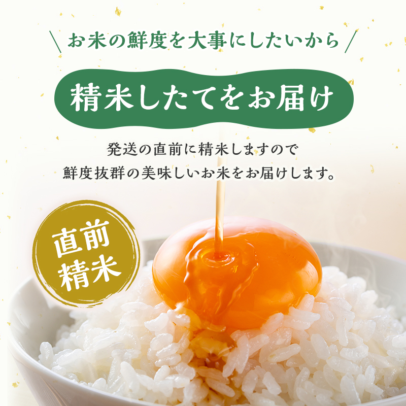 【定期便：雪国逸品 精米5kg×6ヶ月】越後魚沼郷 魚沼産コシ