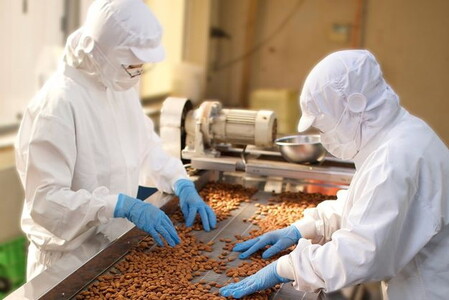 4種の無塩ミックスナッツ 2.01kg(670g×3袋) 無塩 素焼き チャック付き 健康 美容 直火焙煎 煎りたて うさぎや くるみ アーモンド マカデミアナッツ カシューナッツ