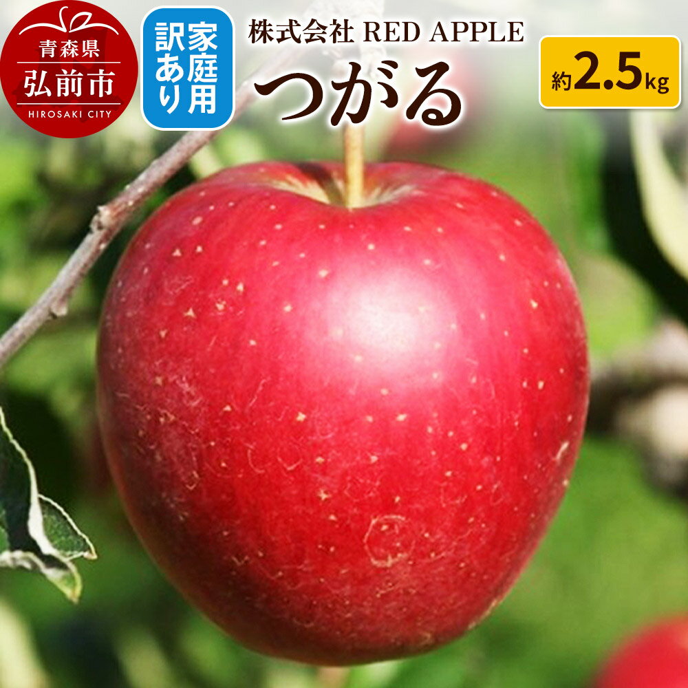 【ふるさと納税】りんご【訳あり】家庭用 つがる 約2.5kg