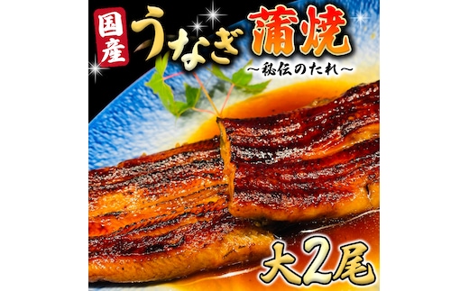 
										
										国産 うなぎ 蒲焼 大サイズ 2尾 【 日本料理 ひたち野いしざき 秘伝 の たれ焼き 】 鰻 ウナギ おいしい 美味しい 蒲焼き かばやき 丑の日 土用の丑の日 土用 グルメ おかず お取り寄せ お土産 贈り物 贈答 お祝い 記念日 ギフト 茨城 魚
									