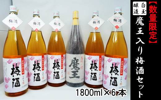 【ふるさと納税】【数量限定】No.4026-2　白玉醸造　魔王入り梅酒セット