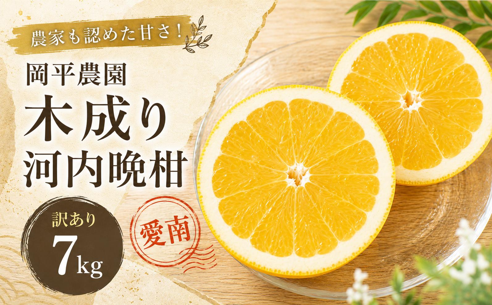 
                  数量限定 訳あり 河内晩柑 (愛南ゴールド) 約7kg 木成り 樹上 柑橘 フルーツ みかん 蜜柑 mikan 河内晩柑 和製 グレープフルーツ 傷 きず 規格外 不揃い 果物 ゼリー ジュース アイス ビタミン 夏 お中元 さっぱり 限定 今だけ 熟成 文旦 分担 甘い 健康 美容 愛媛県 愛南町 岡平農園 発送期間：7月上旬～ (なくなり次第終了)
                