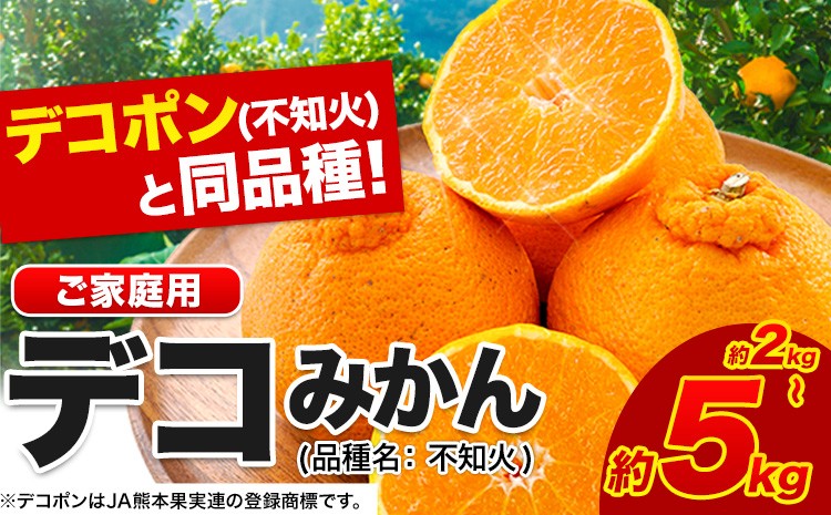 
                  不知火 デコみかん ( デコポン と同品種 ) ご家庭用 訳あり 熊本県産 ( 荒尾市産含む ) 約2kg(約4～10玉) or 約5kg (12-24玉前後) 柑橘 《2月上旬-4月上旬頃出荷》 みかん フルーツ 不知火 訳アリ でこみかん 果物 
                