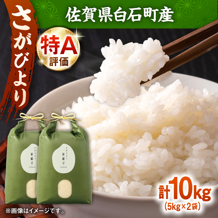 【令和7年産】 さがびより 計10kg（5kg×2袋）【ちわたのふぁーむ】 米 10kg  精米 特A 特A評価  佐賀県産 国産米 コメ こめ お米 白米 ブランド米 精白米 おにぎり さがびより 九州 佐賀県 白石町 人気 おすすめ[IDE002]