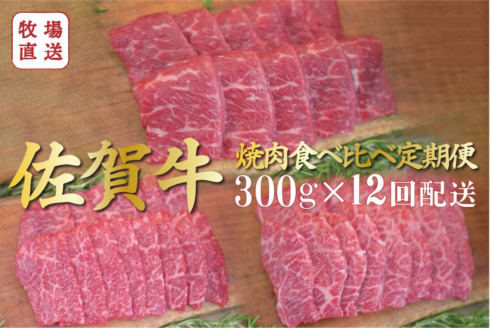 
            【定期便セット】全12回 佐賀牛の焼肉食べ比べセット / 赤身焼肉・ロース・カルビ各300g TOMMY BEEF
          