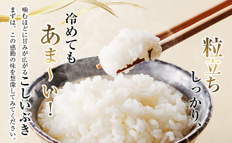 【未来の農業家を応援】高田農業高校の生徒が育てた「高農米」 令和7年産 特別栽培米 こしいぶき 5kg 5キロ 新潟県産 上越市