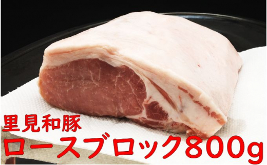 房総ブランド豚　里見和豚　とんかつ用ロースブロック800g×1　真空パック　白色トレイ不使用 mi0017-0013-1