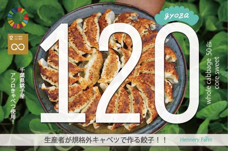 
きゃべつ餃子 120個（30個入り × 4袋）キャベツをたっぷり使った！アフロ キャベツ きゃべつ 餃子 ぎょうざ ギョーザ 中華 点心 鶏肉 豚肉 野菜 おかず 小分け お手軽 パーティー バーベキュー つまみ ビール 味付き 春キャベツ 銚子 お取り寄せ 送料無料 千葉県 銚子市 Hennery Farm
