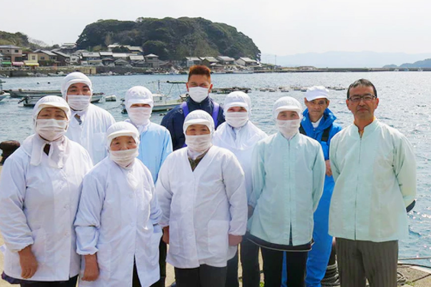 かまぼこ 天ぷら 平戸 特選味くらべ 7点 セット 32個 12回 定期便 総計384個 詰め合わせ 食べ比べ [伊東蒲鉾店 長崎県 平戸市 hr42bgy410130] 蒲鉾 練り物 おつまみ 惣菜