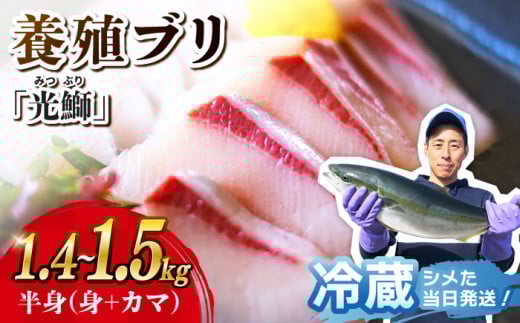 ブリ 「光鰤」半身 約1.4～1.5kg＜小山水産＞ [CDZ001] 西海市産 魚 ブロック 刺身 ブリ ぶり ブリしゃぶ 鰤 ブリ