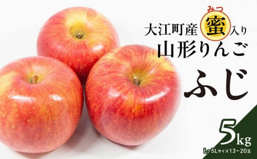 《先行予約》大江町産 山形りんご 「ふじりんご」 5kg L～5L 13～20玉【2024年11月下旬頃～発送予定】【配送不可：沖縄県・離島】【048-004】