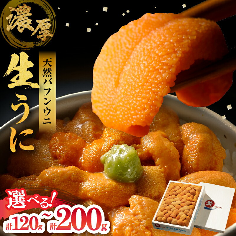 【ふるさと納税】うに 枚数が選べる 氷温熟成 生うに 天然 バフンウニ 海鮮 ウニ 冷蔵 雲丹 食品 魚介類 魚貝類 海産物 水産物 海の幸 刺身 海鮮丼 うに丼 寿司 新鮮 ご褒美 贅沢 お取り寄せ グルメ 北方領土産 北海道 浜中町