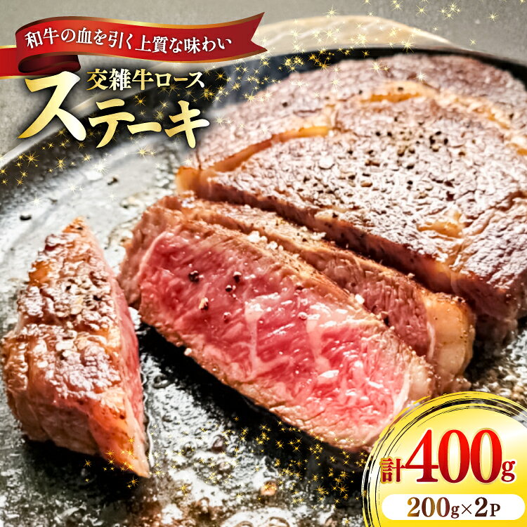 【ふるさと納税】 牛肉 国産交雑牛ロース ステーキ 200g 2パック 計400g [ユーエイエム 愛知県 江南市 ko23btu600024] ロース 和牛 国産牛 牛ロース 霜降り 赤身 真空パック 個包装 小分け 冷凍 BBQ バーベキュー 焼肉