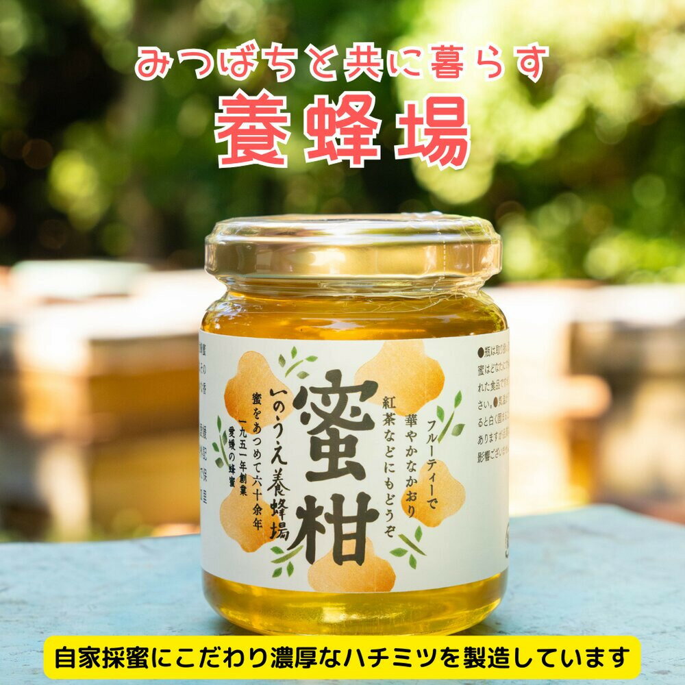 【ふるさと納税】【内子町】蜜柑の雫（しずく）