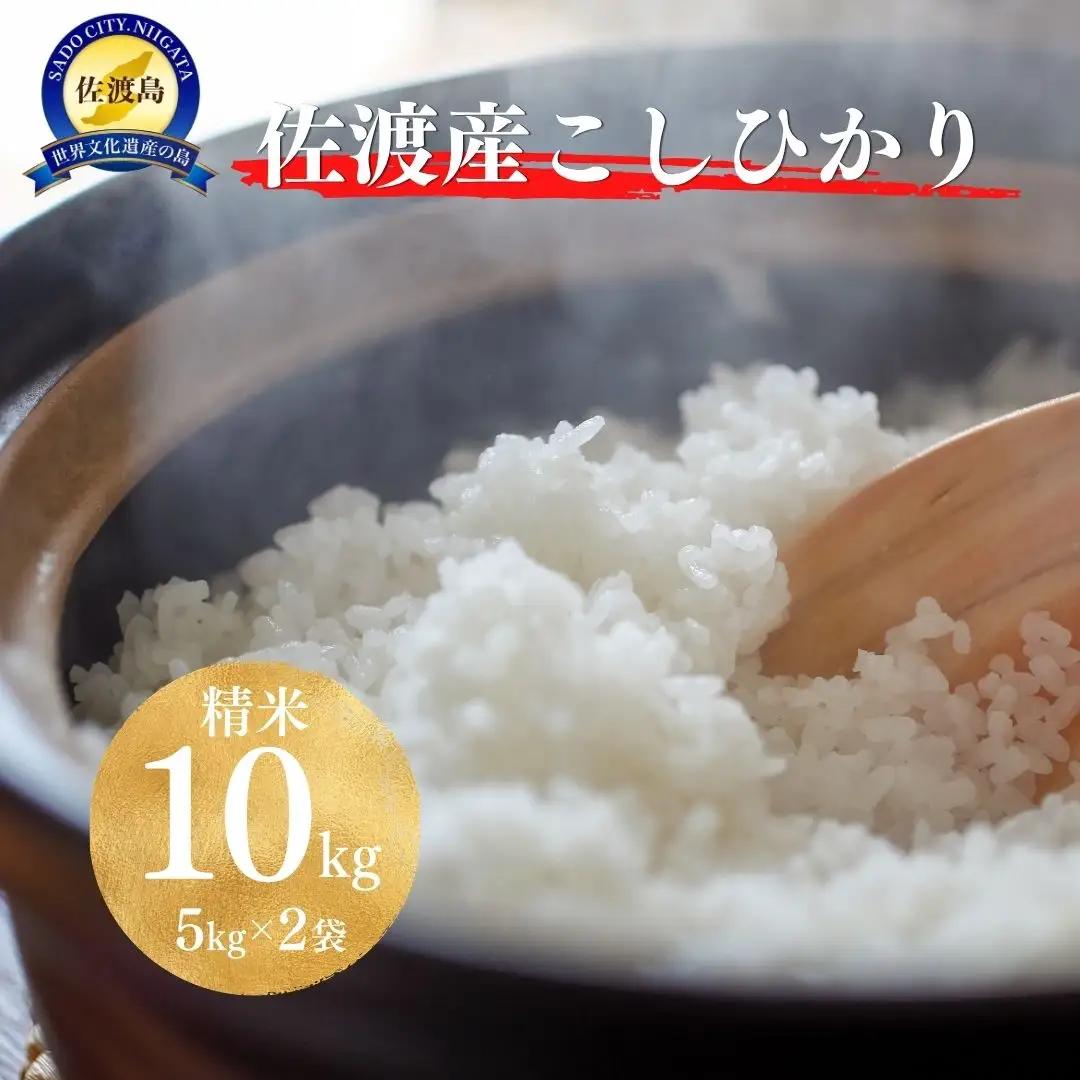 【令和8年産新米予約】佐渡産コシヒカリ 精米10kg（5kg×2袋）単一原料米 産地指定米