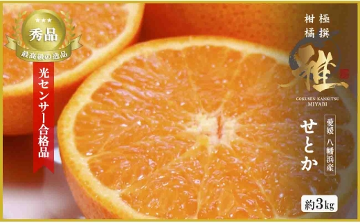 極撰柑橘＜雅＞光センサー合格品・柑橘の大トロ「 せとか 」約3キロ＜D39-71＞_みかん ミカン 柑橘 せとか フルーツ くだもの 果物 ふるーつ 青果 果実 人気 甘い ジューシー 産直 産地直送 旬 柑橘類 人気 愛媛 果汁 八幡浜市 光センサー 【1620367】 YWTF046