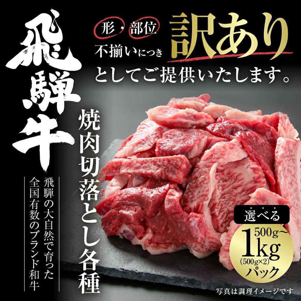 【ふるさと納税】訳あり 飛騨牛 焼肉 切り落とし 選べる 500g or 1kg 冷凍真空パック | 肉 お肉 切落し 不揃い 焼肉 焼き肉 やきにく 黒毛和牛 和牛 人気 おすすめ 牛肉 ギフト お取り寄せ 飛騨高山ミート [MZ013]