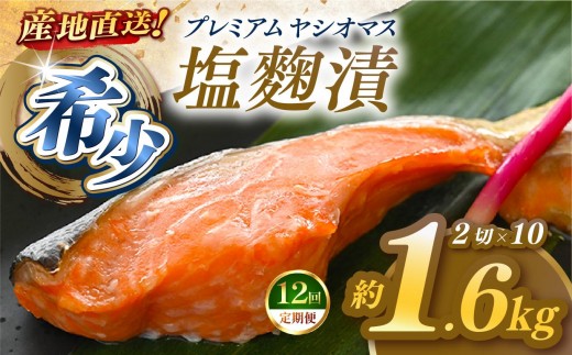 【定期便12回】「プレミアムヤシオマス」の塩麹漬 2切入×10パック  [ 冷凍便 ] | 魚 ます 養殖 産地直送 栃木県 (毎月お届け）