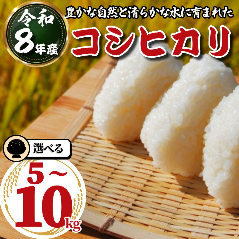 【ふるさと納税】 【農家直送】令和8年産 米 コシヒカリ 選べる 5kg 10kg 白米 ご飯 おにぎり お弁当 ギフト 贈答 プレゼント お取り寄せ グルメ 先行予約 送料無料 徳島 小松島