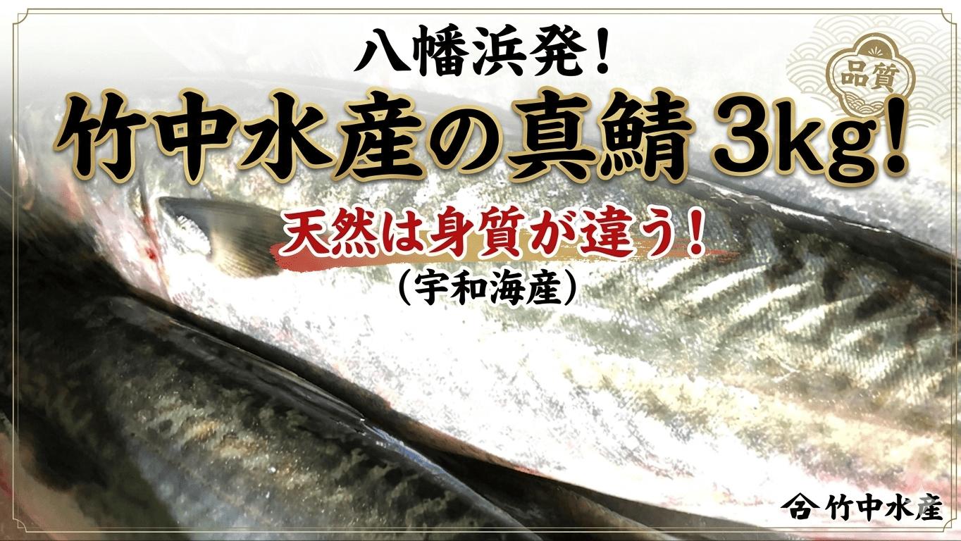 
                  竹中水産の真鯖3キロ!＜D22-240＞【1073401】 YWTM058
                