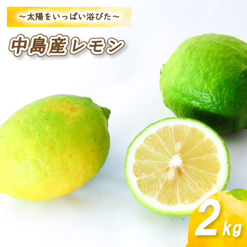 【2026年10月下旬頃から順次発送】 レモン 2kg ( 14? 18玉 ) | レモン 檸檬 レモン a数量限定 レモン 愛媛県産 レモン 松山市 レモン 中島 レモン 有機栽培 レモン 新鮮 レモン 【お贈り物にもおすすめ】