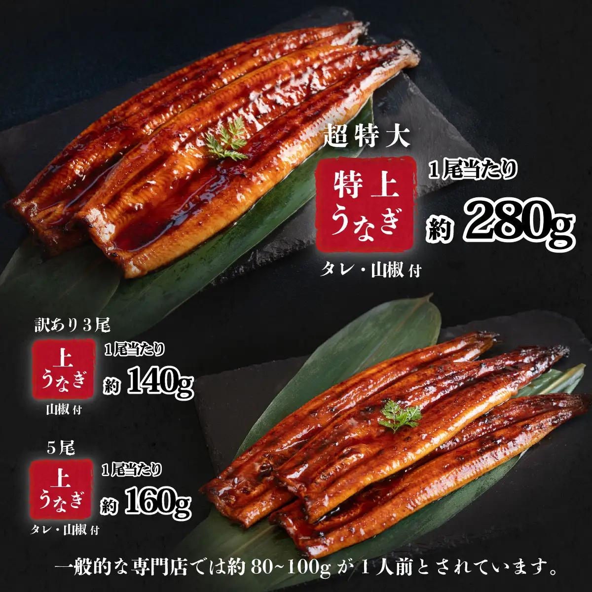 うなぎ 国産 特上 ウなぎ 蒲焼き 2尾 570g ウナギ 