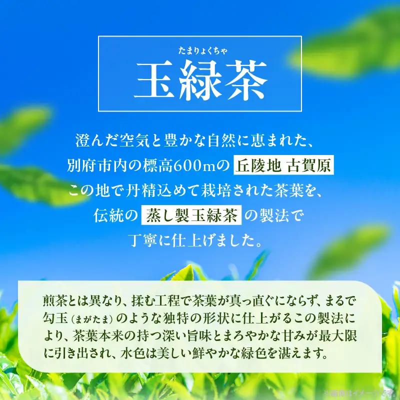 【別府市古賀原産】蒸し玉緑茶(スタンダード)3袋_B129-002